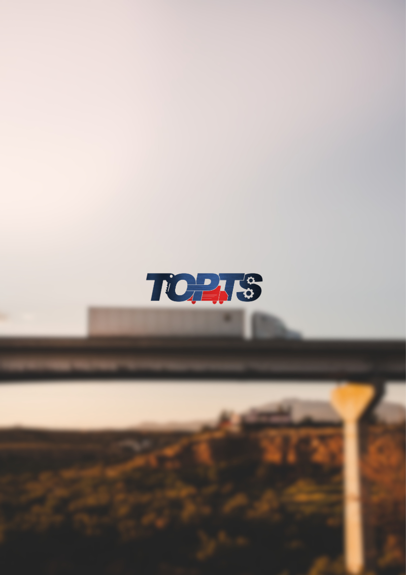 TOPTS ©ARTXIRIS